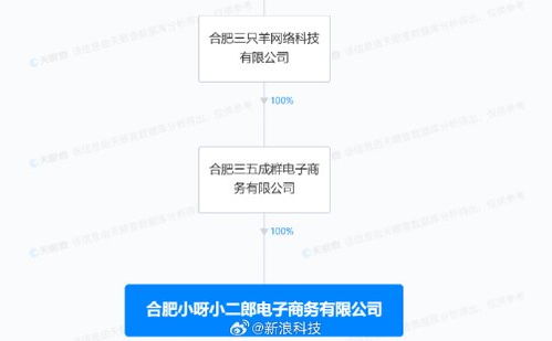 瘋狂小楊哥新公司成立 布局互聯(lián)網銷售領域